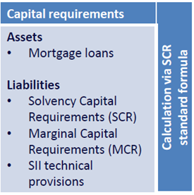 Capital requirements 