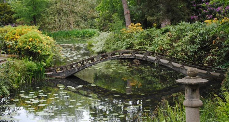 Bridge over the pond in the Japanese Garden at Tatton Park