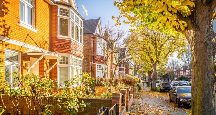 Autumn houses